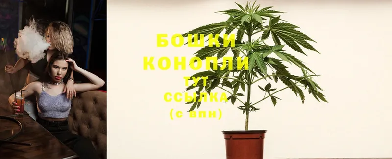 Канабис SATIVA & INDICA  Кимры 